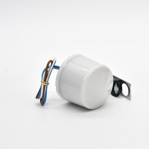 SPECTRUM LS10C DAYLIGHT SWITCH 10A